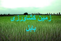 35- فروش زمین کشاورزی بابل